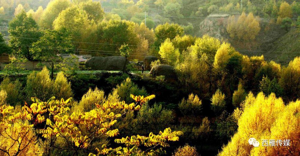 七绝|会宁两位退休老教师的完美合作，太美了！