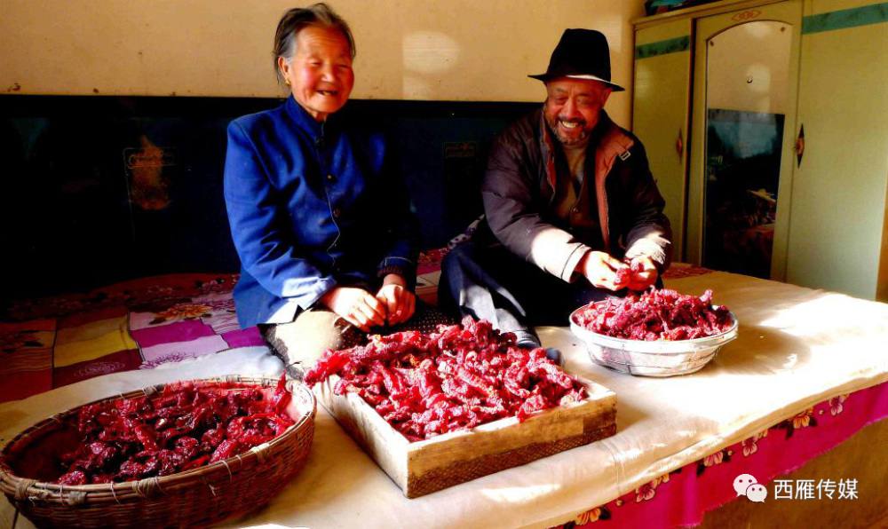 七绝|会宁两位退休老教师的完美合作，太美了！