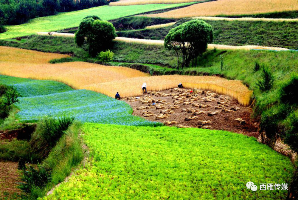 七绝|会宁两位退休老教师的完美合作，太美了！
