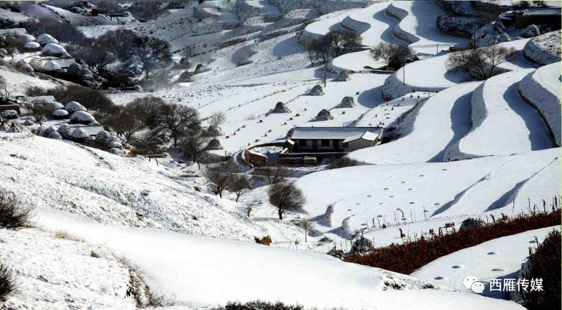 七绝|会宁两位退休老教师的完美合作，太美了！