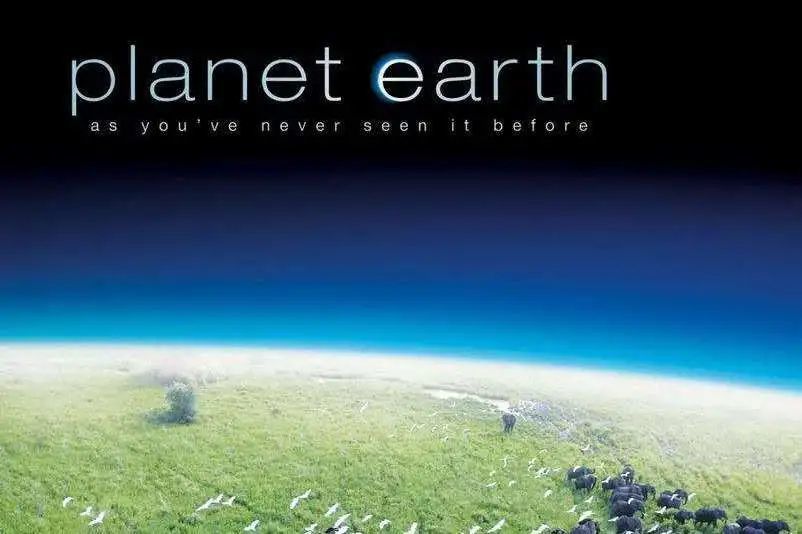 剧说|盘点5部最适合青少年观看的高分纪录片，和没营养的偶像剧说再见！