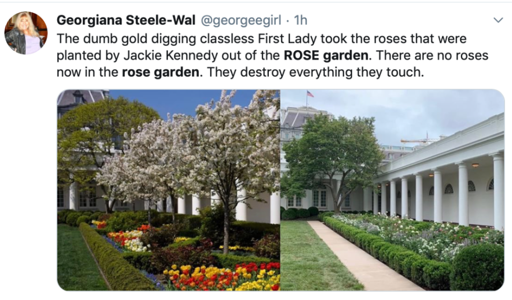 梅拉尼娅·特朗普|辛苦一月翻新了白宫玫瑰园，特朗普一家却被骂上热搜