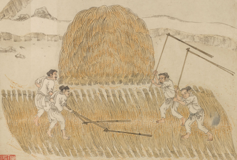 一粒米怎样才能走上我们的餐桌