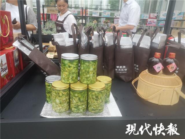 辞职回村养豆丹,连云港小伙当村官带村民致富