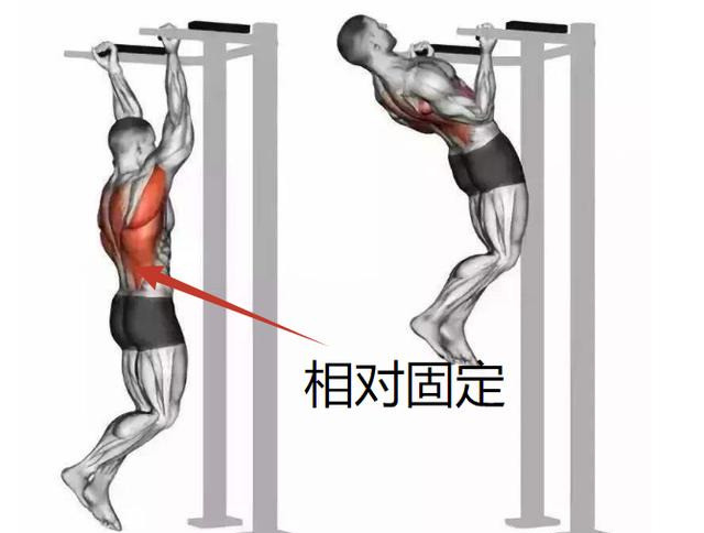 一张图告诉你,c罗的背阔肌究竟有多牛!