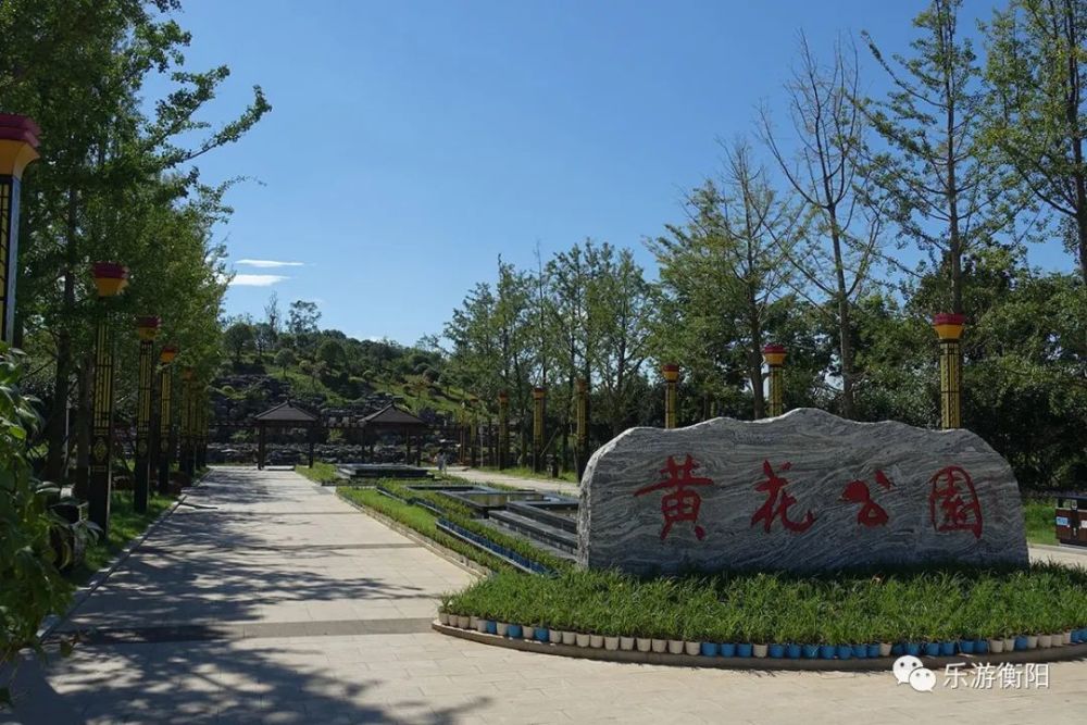 打卡祁東黃花公園,養眼,養心,養精神!