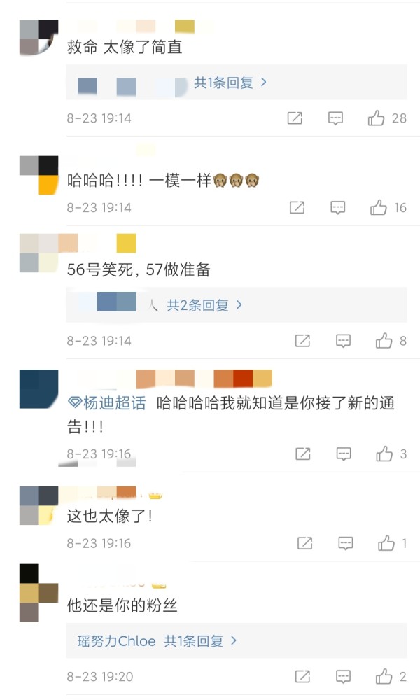 杨迪|素人意外撞脸杨迪，竟还是杨迪的粉丝，杨迪晒视频对比大呼太像了