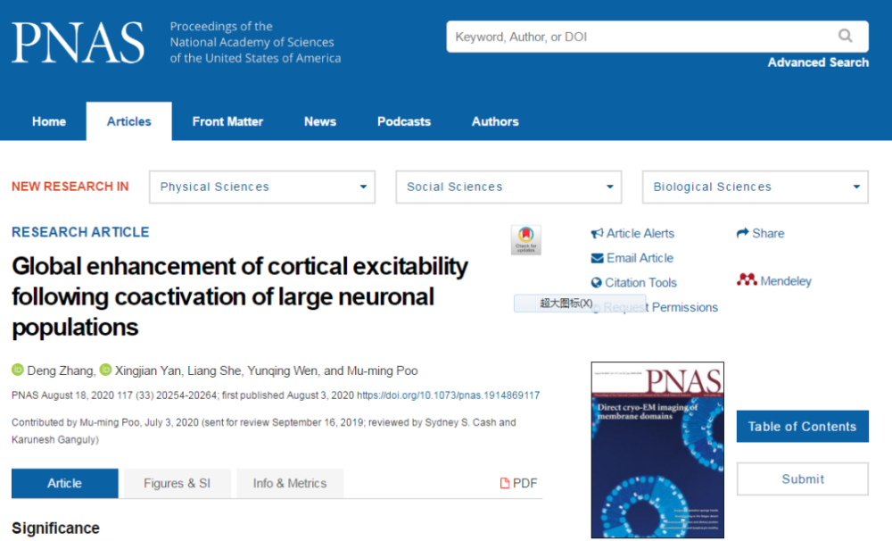 神经元|PNAS：神经元数量在激活诱导大脑神经元兴奋性增强的重要性