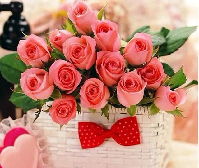 中国情人节 七夕花语 黄玫瑰