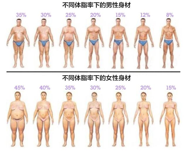 关于体脂率 正常男女标准是多少 给你一个更靠谱的计算公式 腾讯网