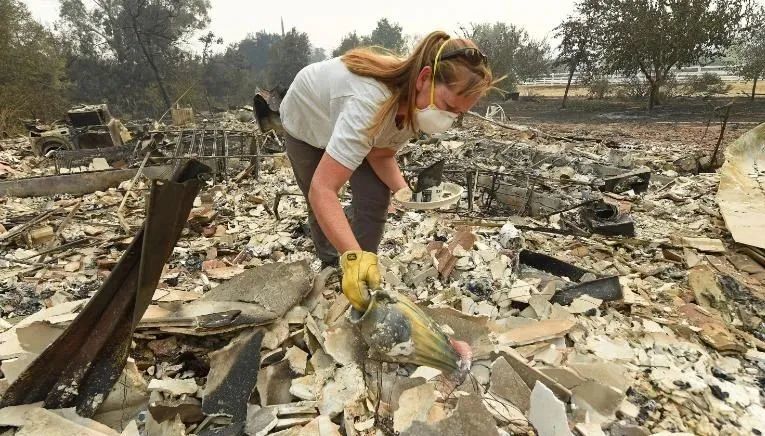 美国_社会|美国大火蔓延十四州，十二万人逃难，劫后景象太惨