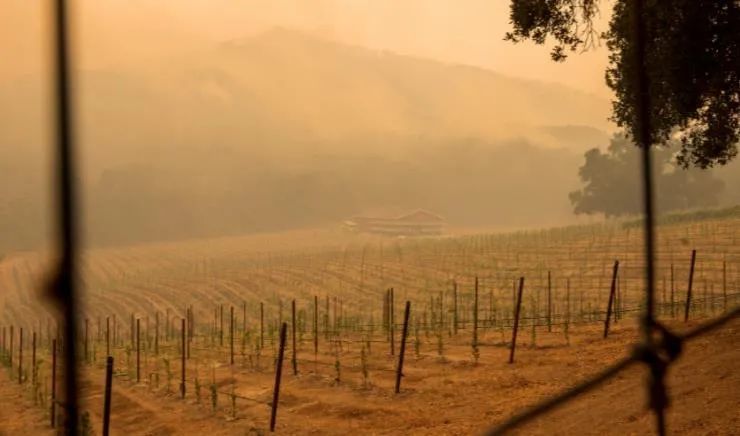 美国_社会|美国大火蔓延十四州，十二万人逃难，劫后景象太惨