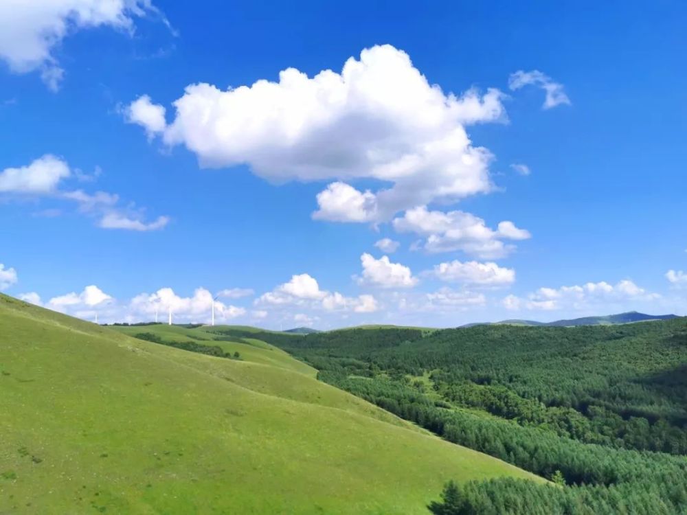 北京|北京以北，丰宁坝上，寻觅16°盛夏清爽时光！