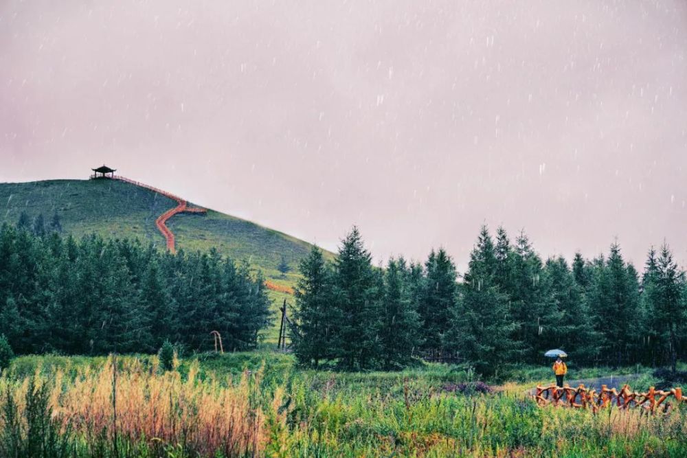 北京|北京以北，丰宁坝上，寻觅16°盛夏清爽时光！