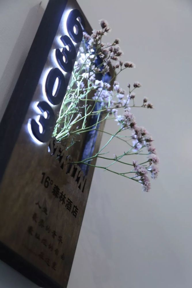 北京|北京以北，丰宁坝上，寻觅16°盛夏清爽时光！