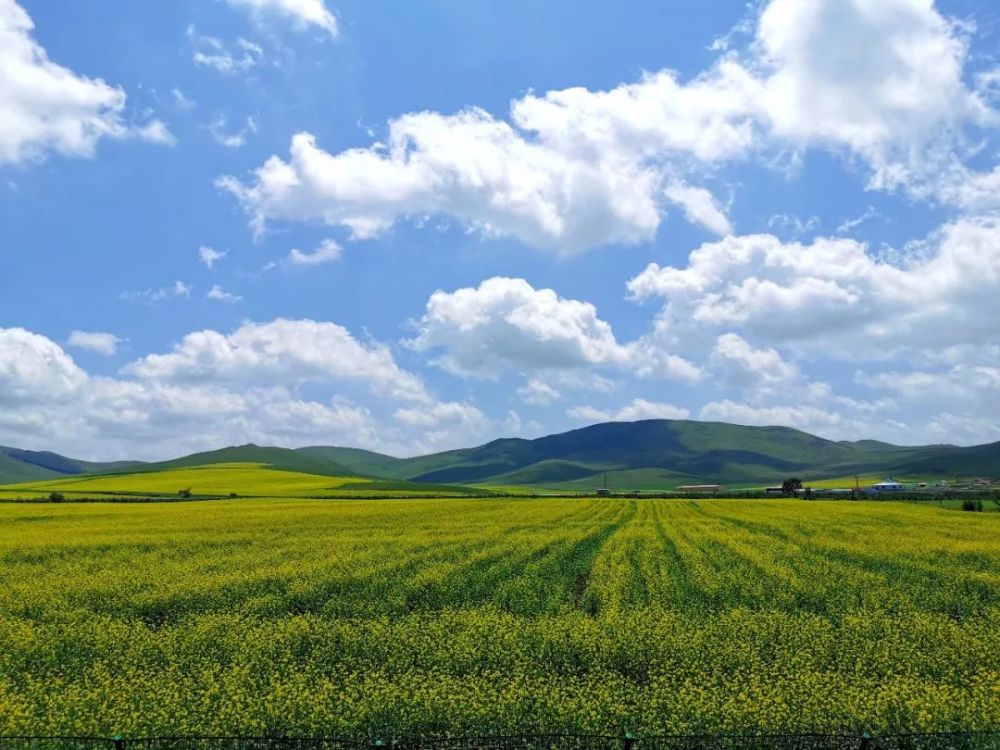 北京|北京以北，丰宁坝上，寻觅16°盛夏清爽时光！