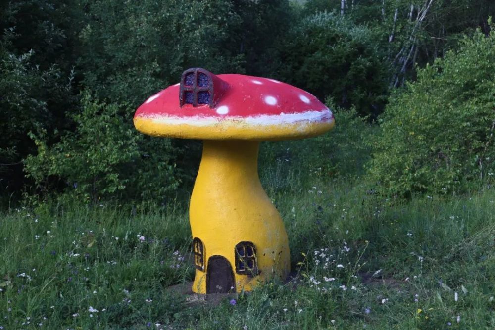 北京|北京以北，丰宁坝上，寻觅16°盛夏清爽时光！