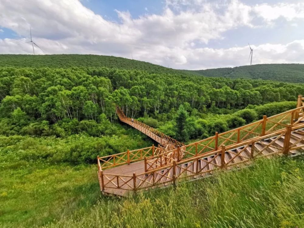 北京|北京以北，丰宁坝上，寻觅16°盛夏清爽时光！