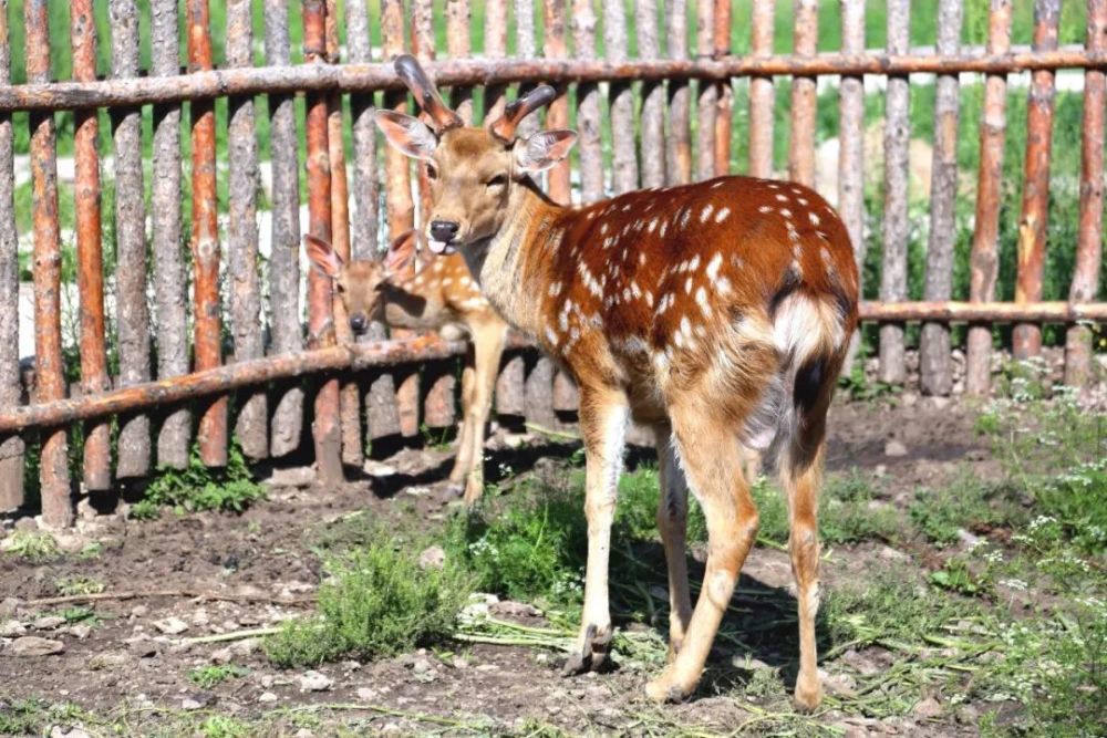 北京|北京以北，丰宁坝上，寻觅16°盛夏清爽时光！