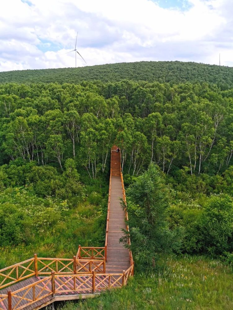 北京|北京以北，丰宁坝上，寻觅16°盛夏清爽时光！