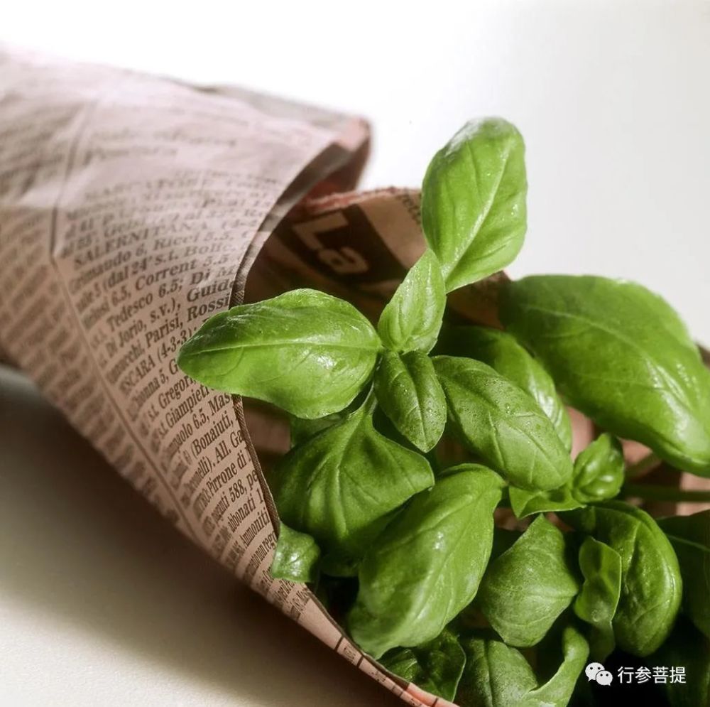 贾国勇|贾国勇/神秘的香花子