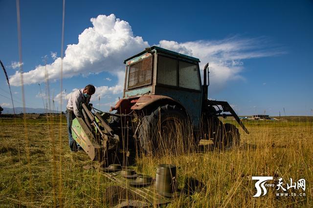 新疆各地草场进入打草季牧民储备越冬草料忙
