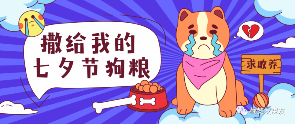 藏獒|北京的雨敲打着窗户，透过屏幕我看到了在草原上奔腾的藏獒