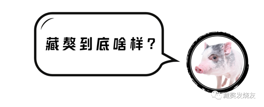 藏獒|北京的雨敲打着窗户，透过屏幕我看到了在草原上奔腾的藏獒