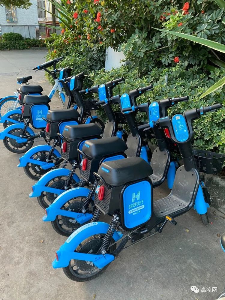 高州街上又多了两种新式美观颜色亮丽的共享电单车你骑过了吗