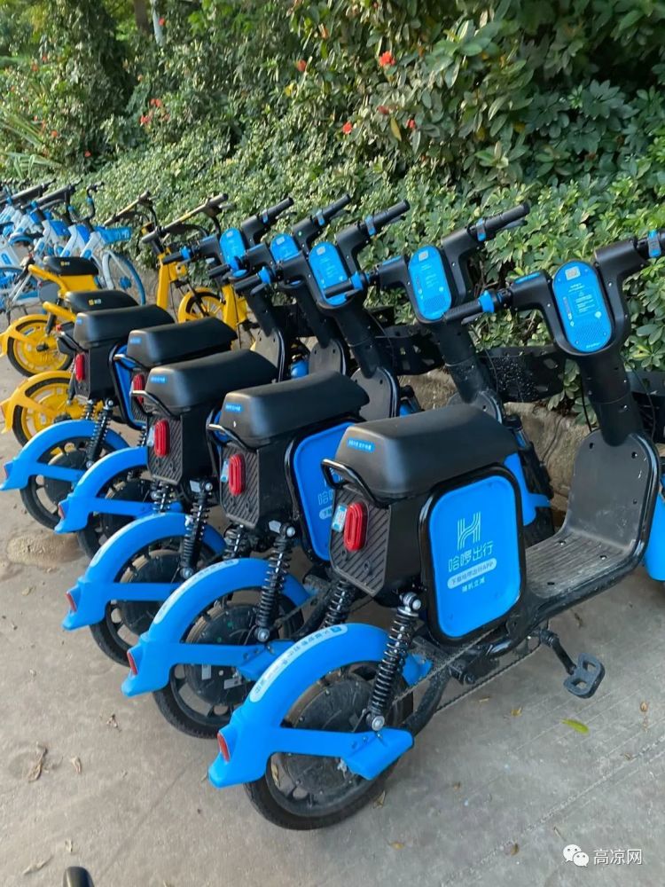 又一品牌共享电单车进驻高州,还有免费优惠,4大品牌大战在即_腾讯新闻