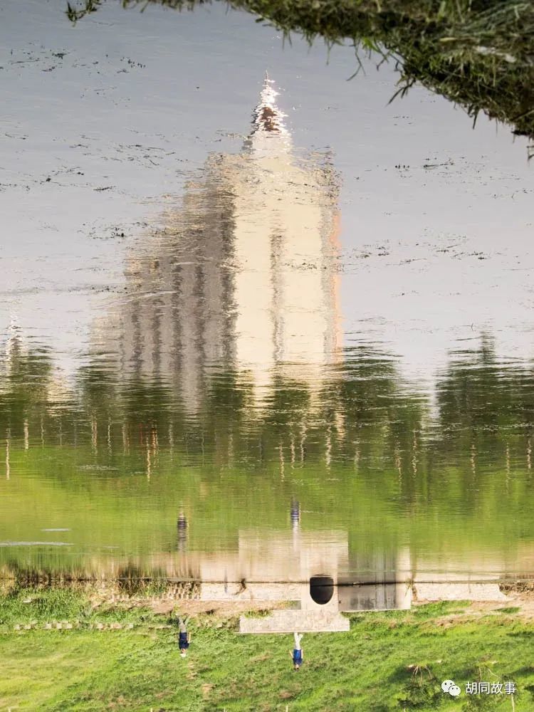 金毛|趁着秋天，抓紧时间郊游去吧