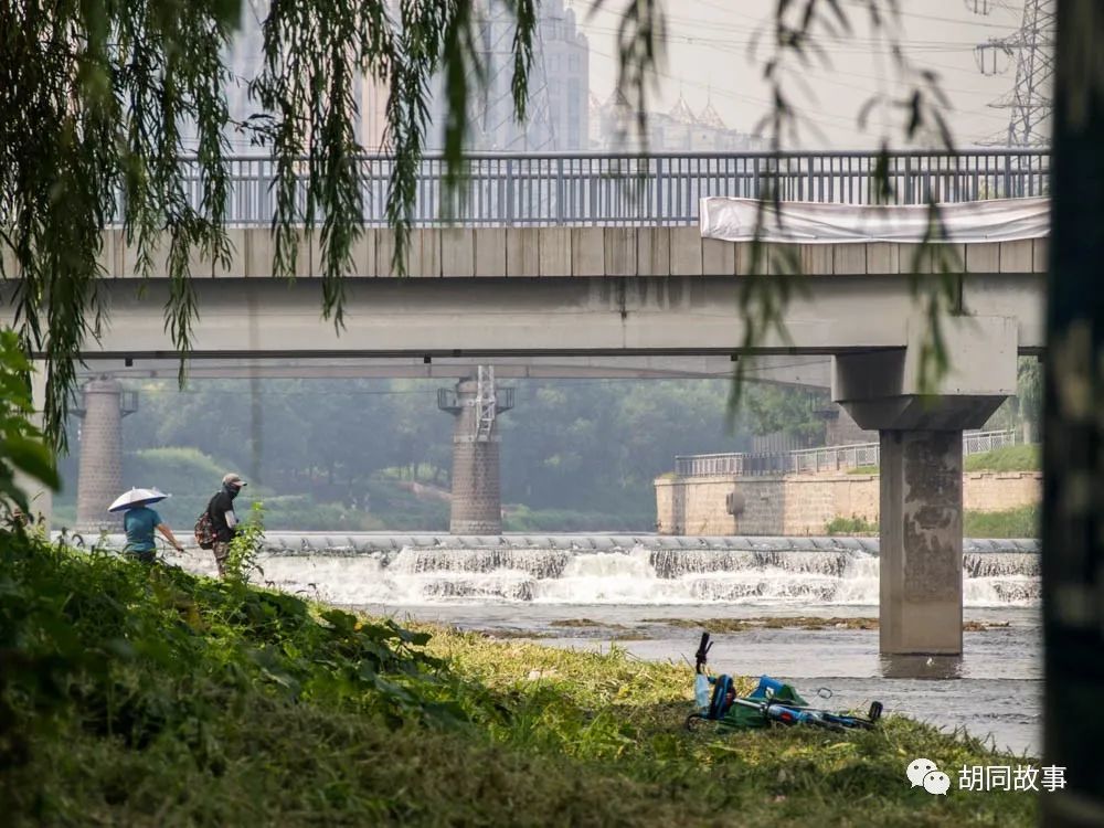 金毛|趁着秋天，抓紧时间郊游去吧