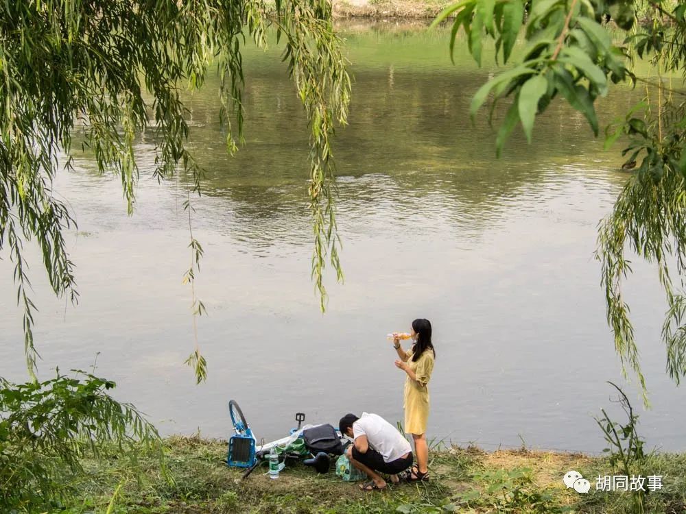 金毛|趁着秋天，抓紧时间郊游去吧