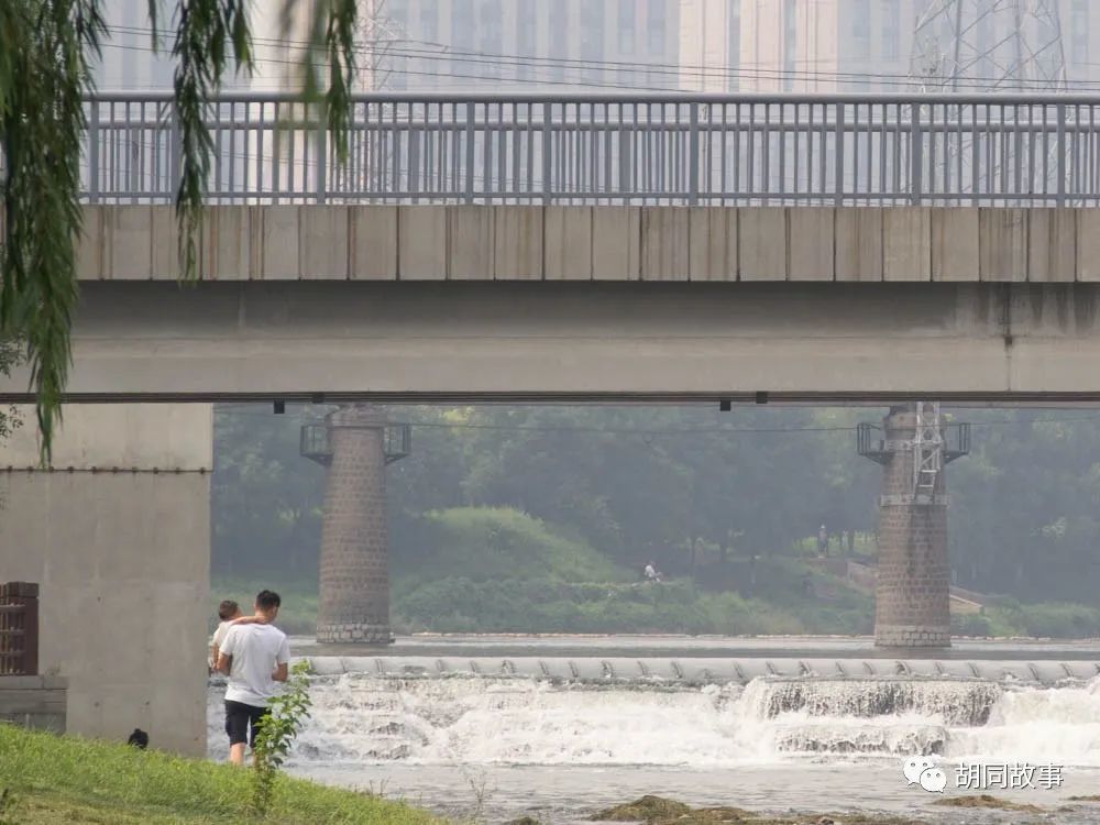 金毛|趁着秋天，抓紧时间郊游去吧
