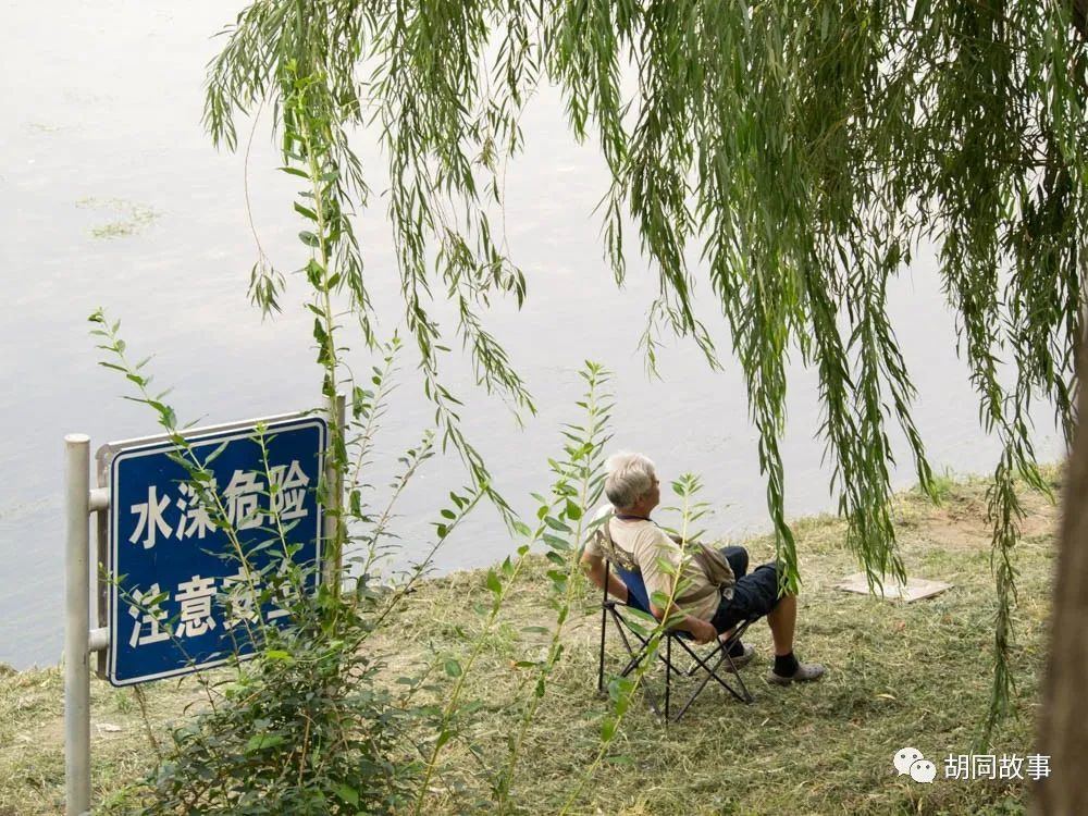 金毛|趁着秋天，抓紧时间郊游去吧