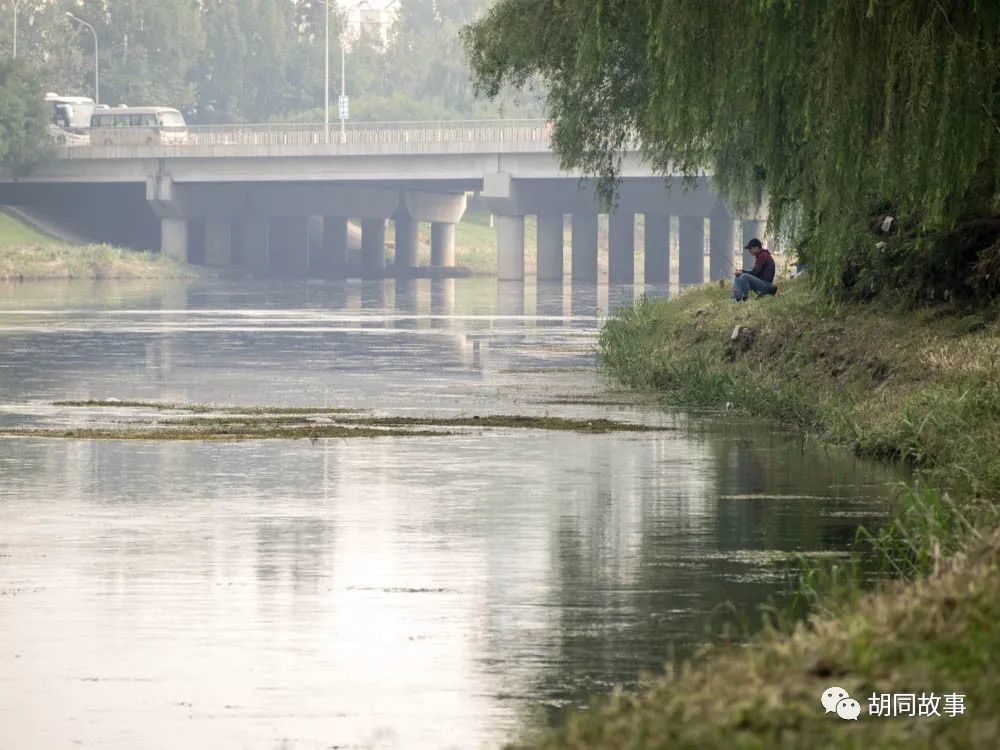 金毛|趁着秋天，抓紧时间郊游去吧