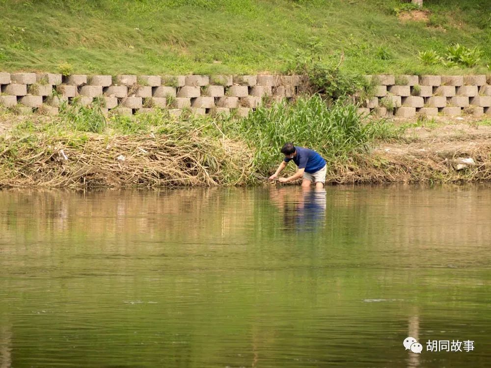 金毛|趁着秋天，抓紧时间郊游去吧