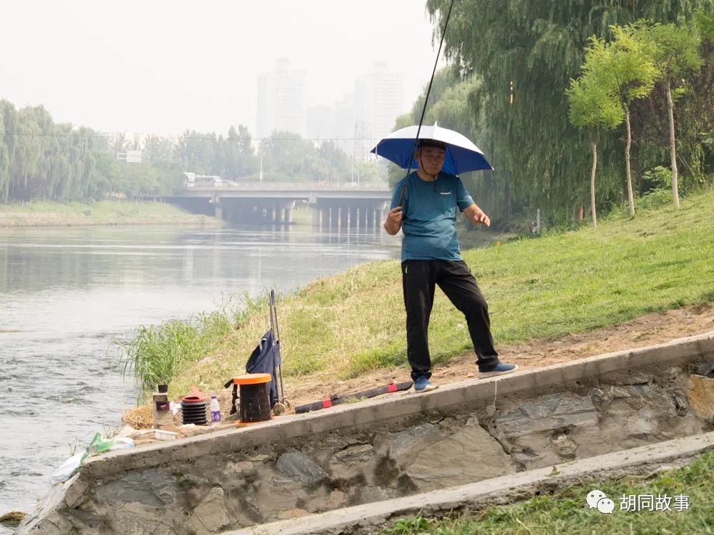 金毛|趁着秋天，抓紧时间郊游去吧