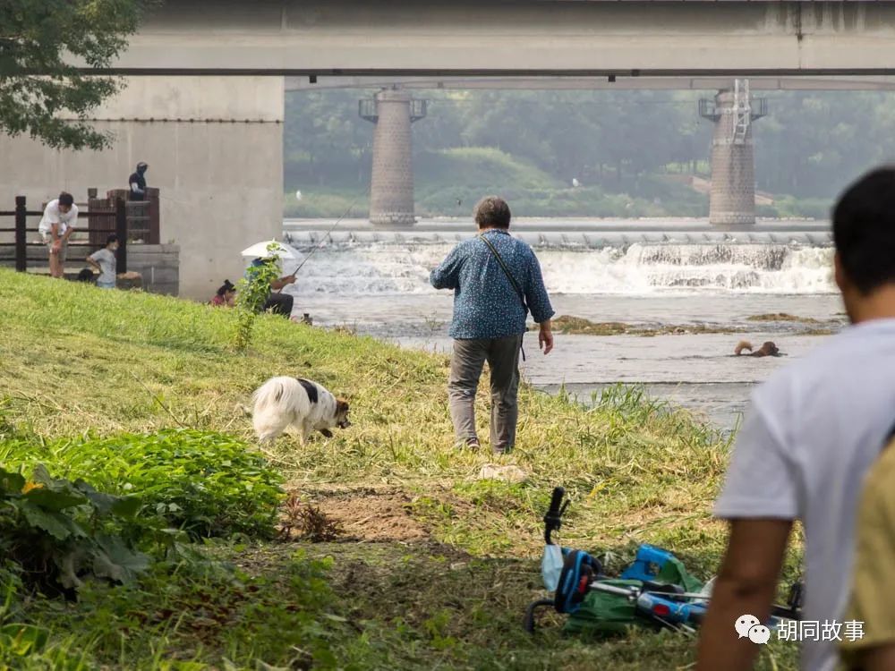 金毛|趁着秋天，抓紧时间郊游去吧
