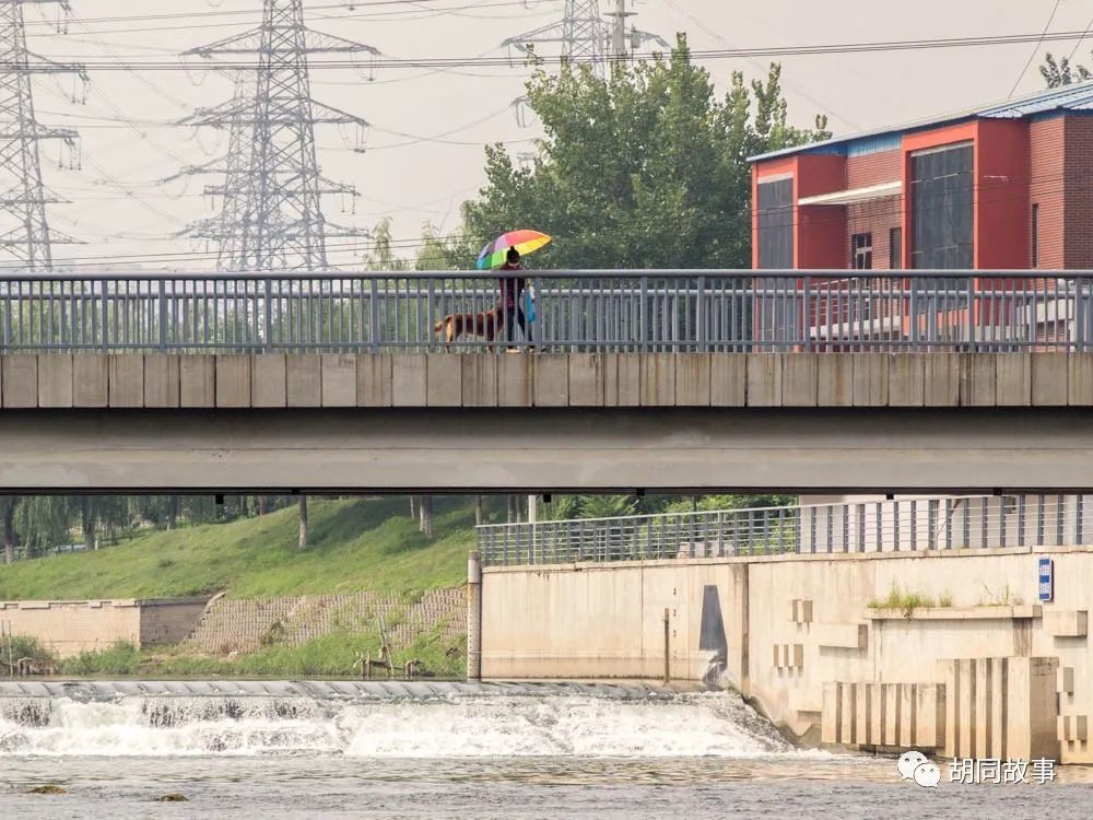金毛|趁着秋天，抓紧时间郊游去吧
