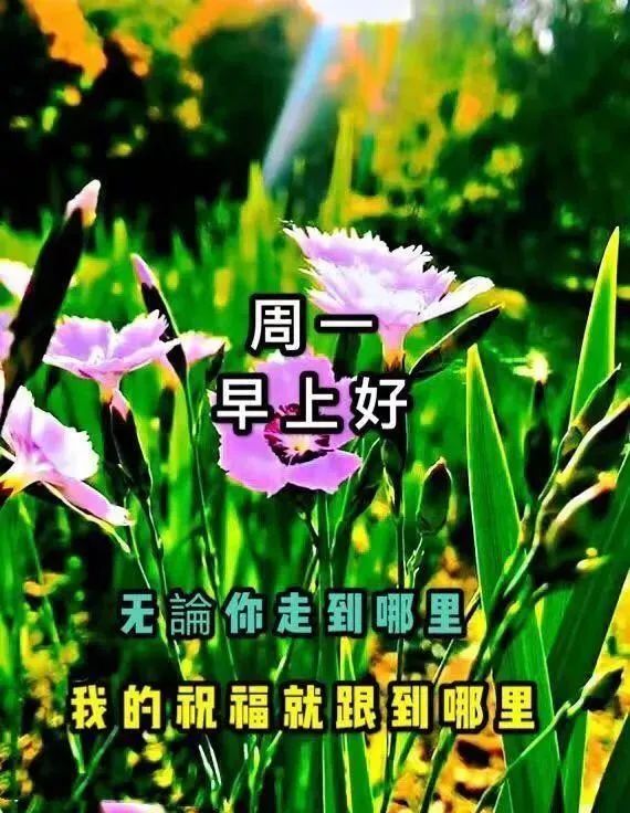 2021年2月9日早安祝福圖片帶字週二早上好問候語動態圖片表情