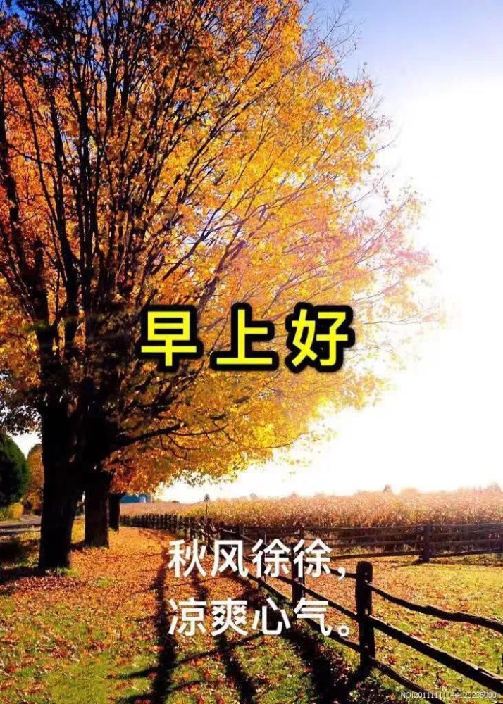 最新秋天风景早上好图片带字精选 秋天早安问好祝福语图片