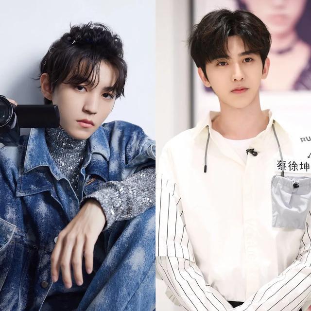 王俊凯模仿蔡徐坤的路线郑爽模糊概念杨紫后悔没接琉璃了吗