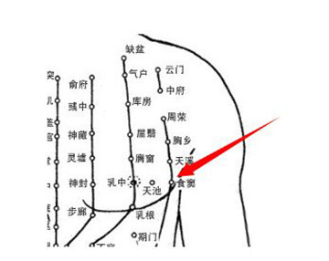 针灸穴名解——脾经腧穴 食窦