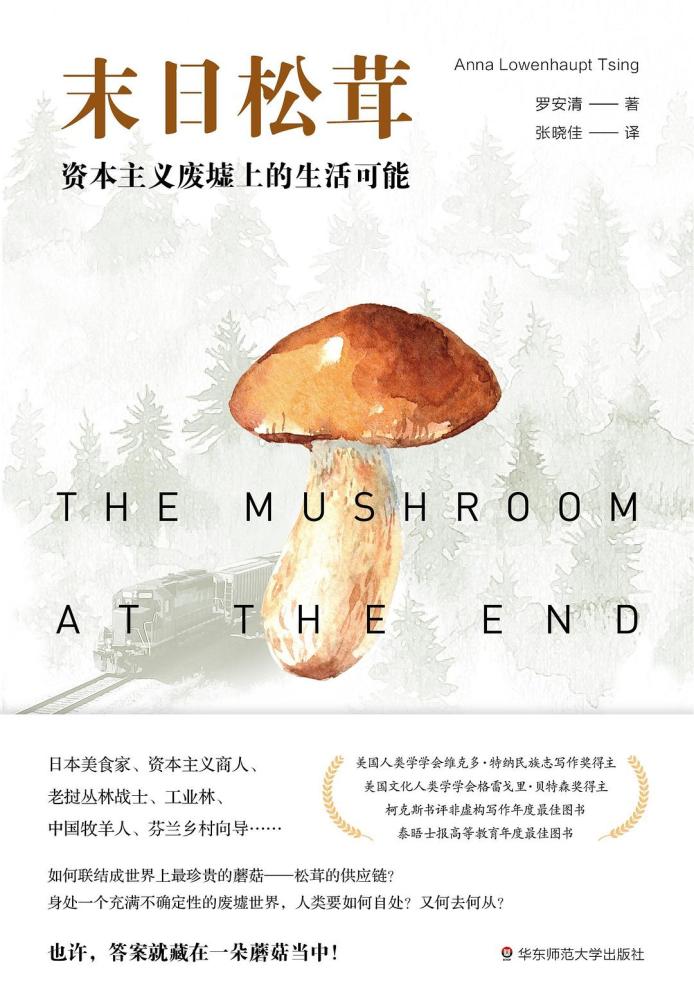 安妮·普鲁|我经营我小小的房子，无论好歹，我是在重建自己的记忆