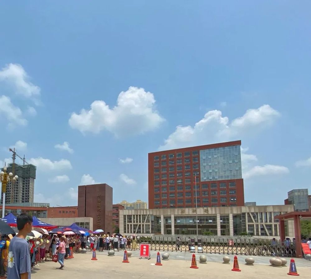 6个百分点2020沈丘高考状元出自沈丘一高最近刷屏的次数真的超多呀说