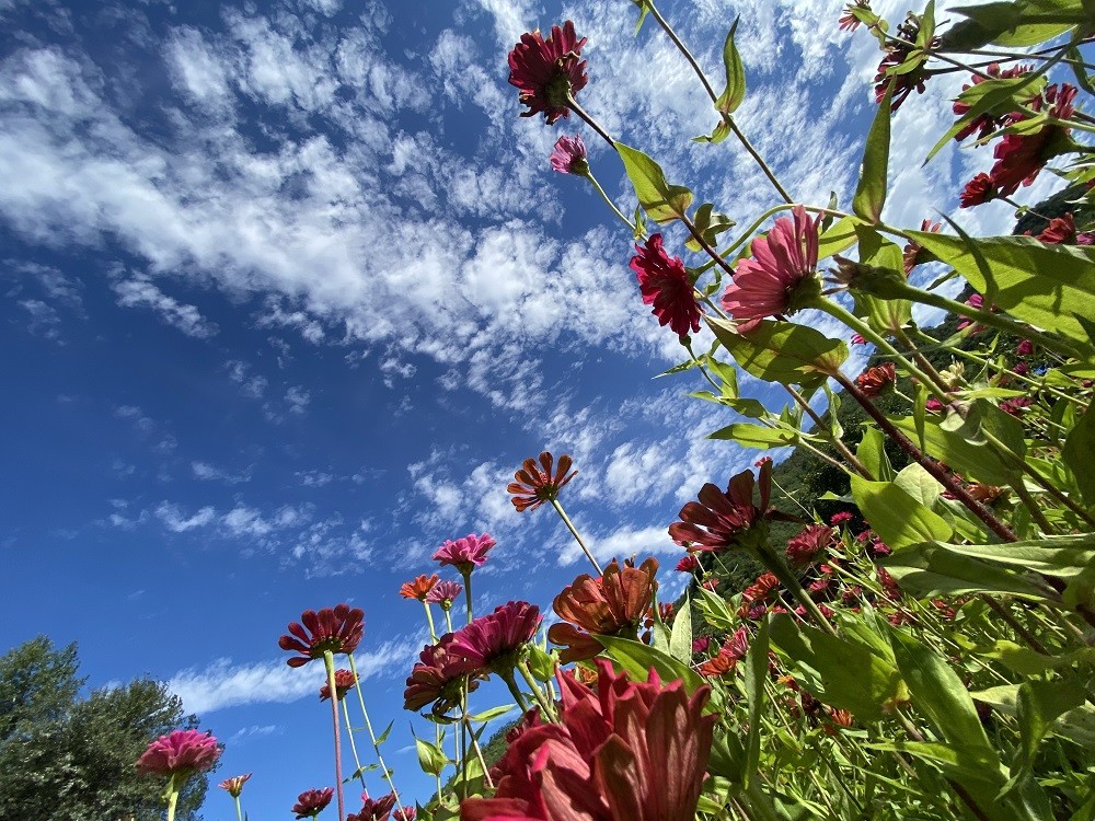 北京|北京大雨过后美景现，一半蓝色云海一半碧空如洗