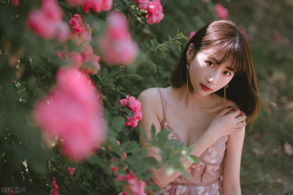 夜读|姑娘你有书不想读？那就看这首诗里古代女性求知的无奈现实吧？