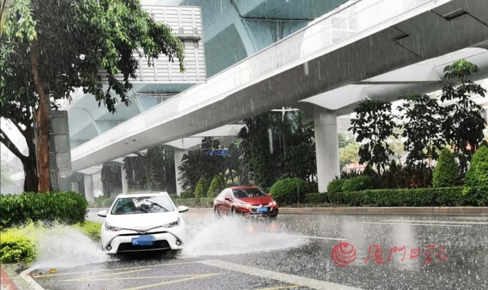 市都出现明显的降雨 局部达到大雨级别 最大雨量出现在湖里忠仑公园