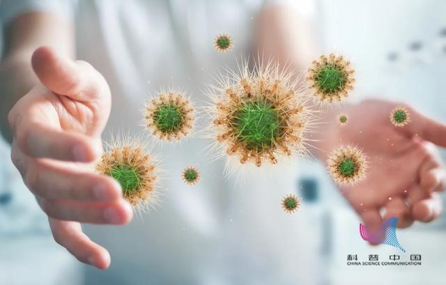 纤维|内裤多久换一次最好？必须手洗？原来这些年都做错了